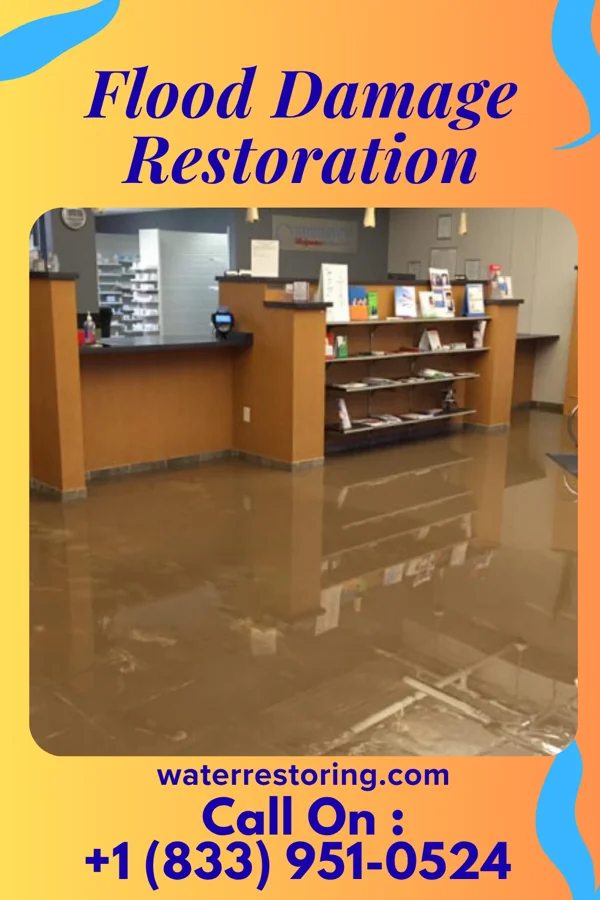 Flood Damage Restoration in Port Austin, MI