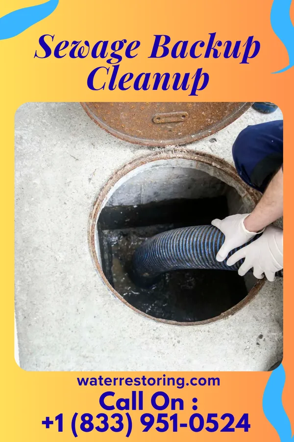 Sewage Backup Cleanup in Port Austin, MI